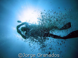 Diving in Rosario Island by Jorge Granados 